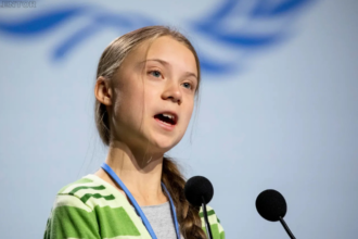 greta thunberg net worth